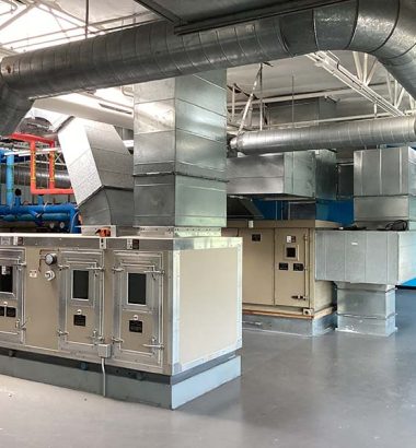 Photo Jul 01 2023, 8 06 55 AM